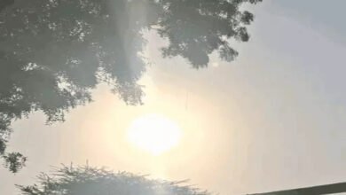 छत्तीसगढ़ में मौसम बदलेगा, अगले 3 दिन अंधड़ और बारिश का अलर्ट 3 image 4 26