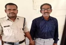 गर्भवती