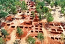 рдлрд┐рд▓реНрдо рд╕рд┐рдЯреА рдирд┐рд░реНрдорд╛рдг рдХреЗ рд▓рд┐рдП рдкреЗрдбрд╝реЛрдВ рдХреА рдХрдЯрд╛рдИ рдкрд░ рд╡рд┐рд╡рд╛рдж, 150 рдкреЗрдбрд╝ рдХрдЯреЗ, 1500 рдФрд░ рдЪрд┐рдиреНрд╣рд┐рдд 26 рдлрд┐рд▓реНрдо рд╕рд┐рдЯреА