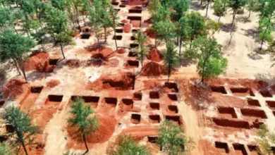 फिल्म सिटी