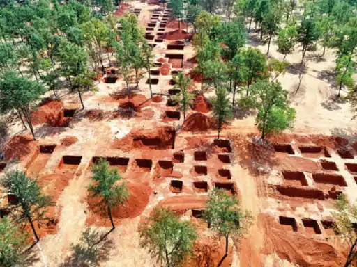 फिल्म सिटी निर्माण के लिए पेड़ों की कटाई पर विवाद, 150 पेड़ कटे, 1500 और चिन्हित 1 फिल्म सिटी