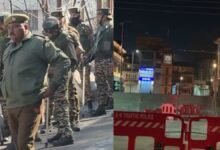 untitled design 2026 03 02t134655.602