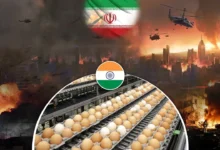 whatsapp image 2026 03 12 at 9.39.49 am