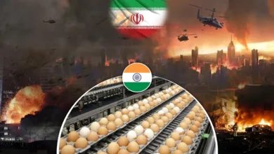 whatsapp image 2026 03 12 at 9.39.49 am