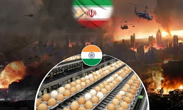 whatsapp image 2026 03 12 at 9.39.49 am