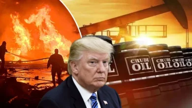 whatsapp image 2026 03 13 at 9.03.20 am