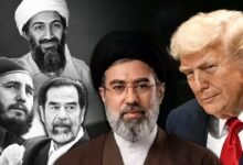 whatsapp image 2026 03 27 at 10.29.13 am