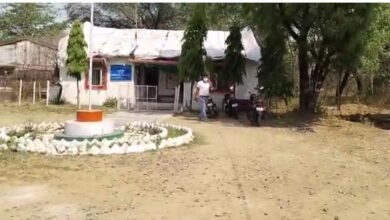 Bird Flu: बिलासपुर में बर्ड फ्लू का अलर्ट केंद्र की विशेषज्ञ टीम आज संभालेगी मोर्चा 5 Bird Flu