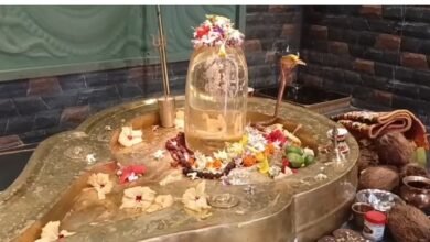 Crystal Shivling: बिलासपुर में स्फटिकेश्वर महादेव धाम बना आस्था का नया केंद्र 2 Crystal Shivling