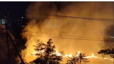 Fire in an Empty Plot