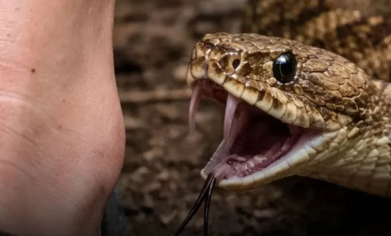 karnataka news 1280 720 15