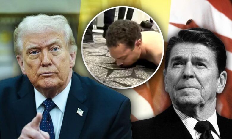 trump regon firing