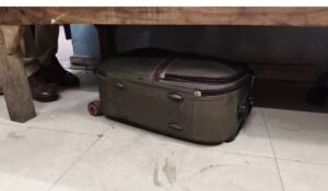 Beef Smuggling