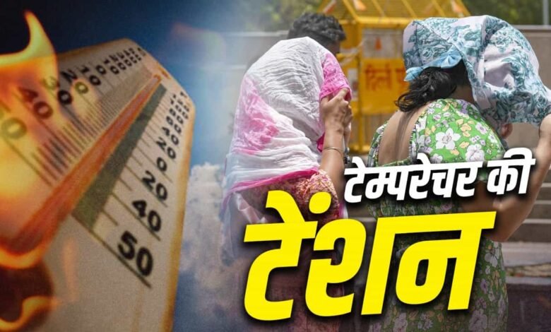 क्या सच में हर साल बढ़ रही है गर्मी? या हमारी सहनशक्ति हो रही है कम 1 IMG 3364