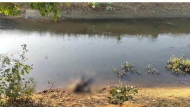 Unidentified Body