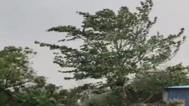 छत्तीसगढ़ में भीषण गर्मी का कहर: अगले 5 दिन लू का अलर्ट, बिलासपुर सबसे गर्म 2 गर्मी