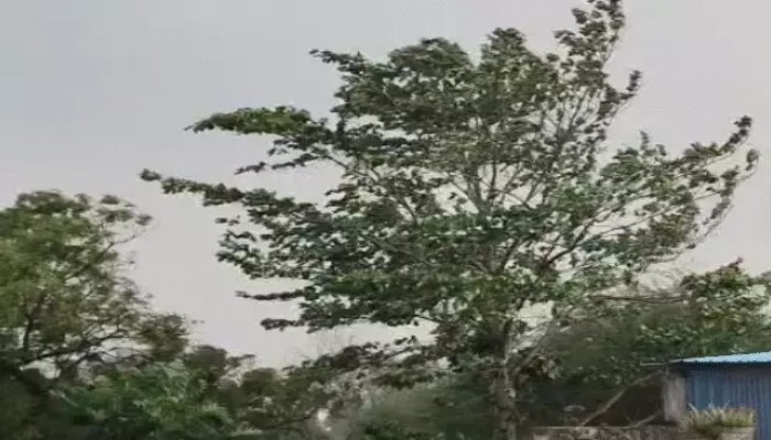 छत्तीसगढ़ में भीषण गर्मी का कहर: अगले 5 दिन लू का अलर्ट, बिलासपुर सबसे गर्म 1 गर्मी