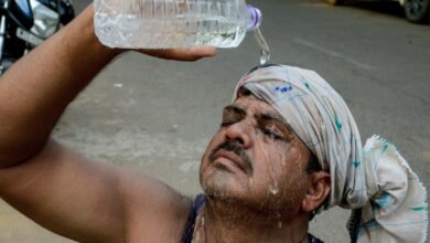 तेलंगाना में हीटवेव का कहर, 16 लोगों की मौत; सरकार देगी 4-4 लाख मुआवजा 5 Telangana Heatwave, Heatwave Deaths, Telangana Weather, Ponguleti Srinivas Reddy, Heat Stroke, Summer Crisis, Telangana Government, Ex Gratia Compensation, Extreme Heat, Weather Alert, Andhra Pradesh Heatwave, El Nino Effect,