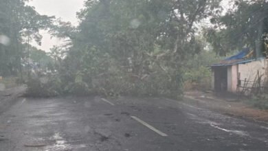 बारिश