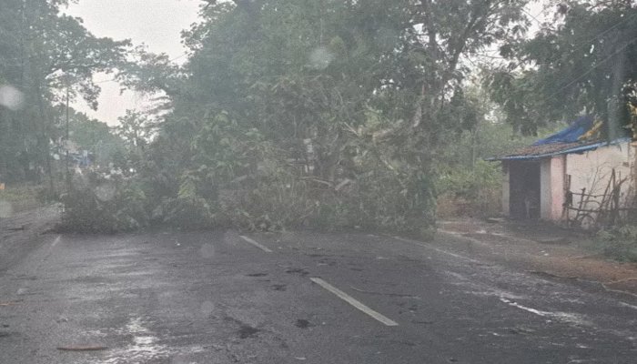 बारिश