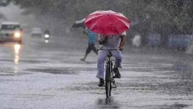 मानसून की धीमी रफ्तार से बढ़ी चिंता, प्रदेश में सामान्य से 69 फीसदी कम बारिश 6 image 27