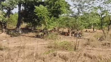 धर्मांतरण विवाद के बीच 26 परिवारों के बेघर होने का आरोप, गांव में बढ़ा तनाव 2 image 3 8