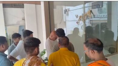 कोचिंग लाज सील