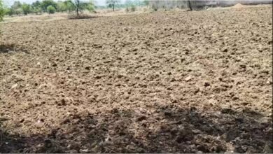 मानसून इंतजार