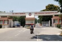 कार्यवाही