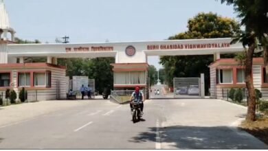 कार्यवाही