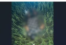 किन्नर हत्या