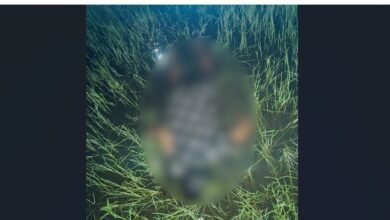 किन्नर हत्या: बिलासपुर में किन्नर की बेरहमी से हत्या: पार्टी के दौरान हुआ खूनी संघर्ष, चेहरे पर वार कर घोंटा गया गला 3 किन्नर हत्या