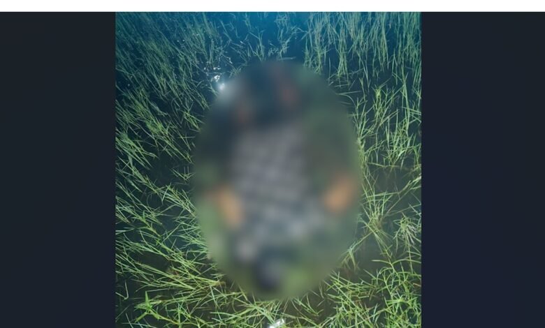 किन्नर हत्या: बिलासपुर में किन्नर की बेरहमी से हत्या: पार्टी के दौरान हुआ खूनी संघर्ष, चेहरे पर वार कर घोंटा गया गला 1 किन्नर हत्या