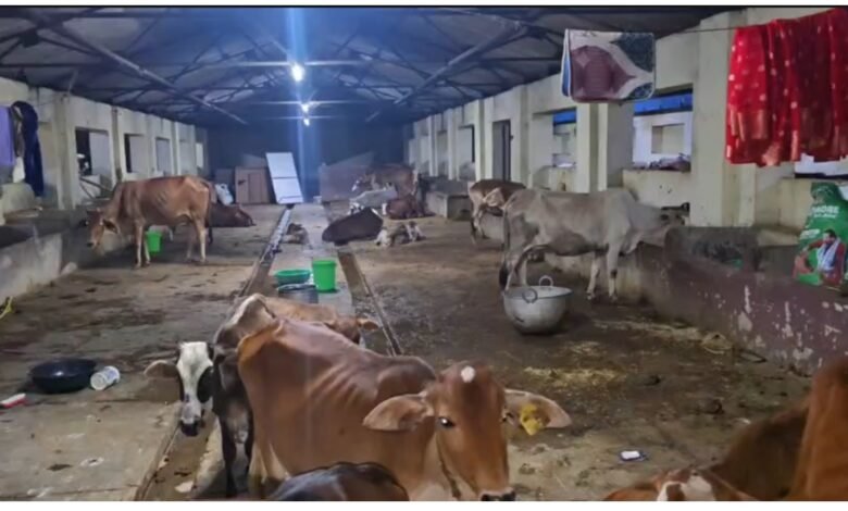 बदहाल व्यवस्था
