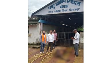 मवेशियों की मौत