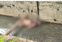 लाश: तोरवा थाना क्षेत्र के नाले में मिली अज्ञात महिला की अर्धनग्न लाश.... 20 लाश