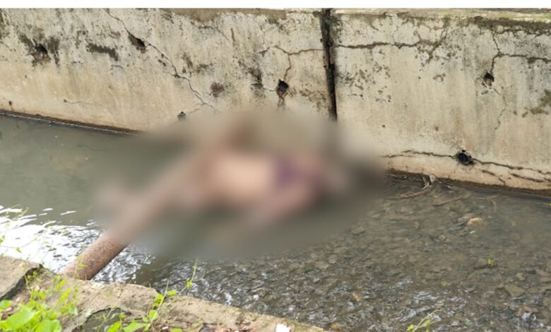 लाश: तोरवा थाना क्षेत्र के नाले में मिली अज्ञात महिला की अर्धनग्न लाश.... 1 लाश