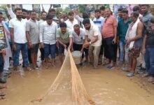 सड़क बना तालाब: गड्ढे में सड़क या तालाब?' बिल्हा में ग्रामीणों ने मछली पकड़कर किया अनोखा प्रदर्शन.... 19 सड़क बना तालाब