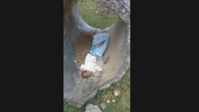 पुल के नीचे मिला नवजात