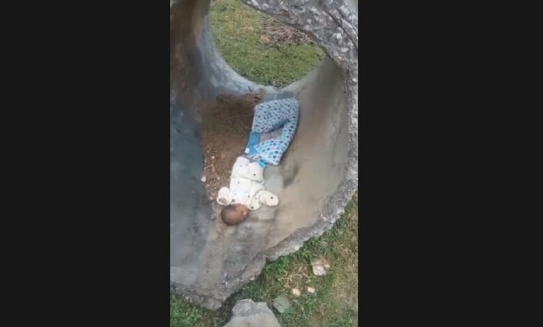 पुल के नीचे मिला नवजात