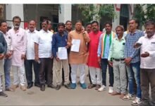 पुलिया निर्माण मांग