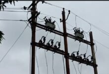बिल पर सख्ती: बकाया बिजली बिल पर बिजली विभाग का एक्शन, 5 हजार स्ट्रीट लाइटें बंद..... 18 बिल पर सख्ती