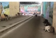 रेलवे सिस्टम फेल