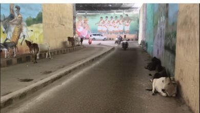 रेलवे सिस्टम फेल