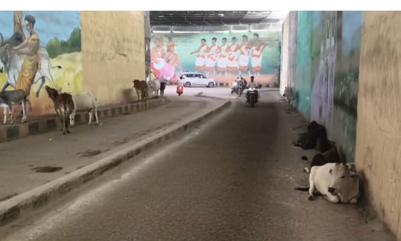 रेलवे सिस्टम फेल