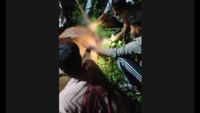 क्रूरता