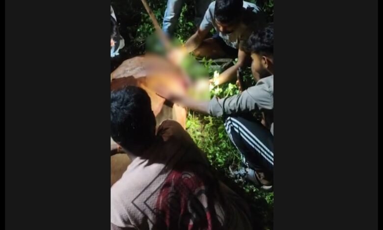 क्रूरता