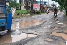हाईकोर्ट फटकार