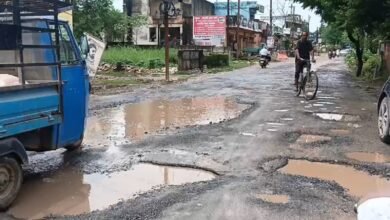 हाईकोर्ट फटकार